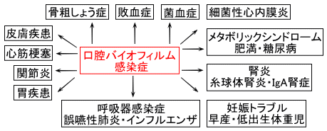 ���o�o�C�I�t�B���������ǂ̖��