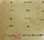 �p�b�`�e�X�g����