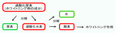�z���C�g�j���O�Ŏ��������Ȃ邵����