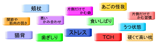 �{�֐ߏǂ̌����ɂ͗l�X�Ȃ��̂�����܂�