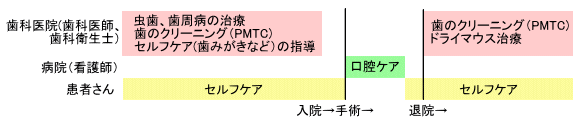 がん治療と歯科治療の流れ