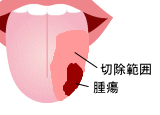 �㔼���؏��p