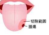 �㕔���؏��p