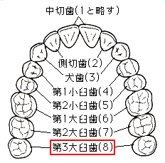 �e�m�炸�i��R��P���j