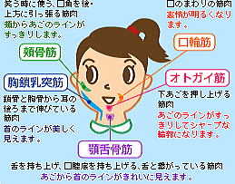 �p�^�J���̌���