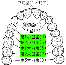 �V�[�����g�̑Ώێ��i�i�v���j