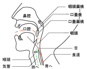 �뚋�̂�����