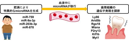 �얞�Ǝ����a