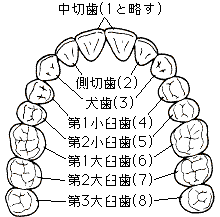 �i�v��
