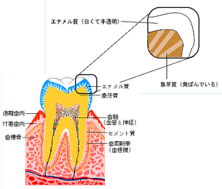 ���̉��΂݂̌���