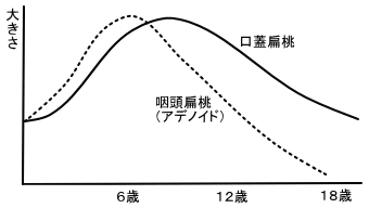 �A�f�m�C�h�E���W�G��