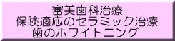 審美歯科治療