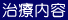 治療内容
