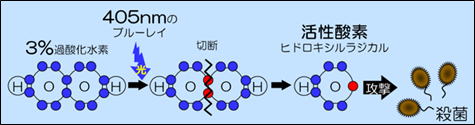 ラジカル殺菌のメカニズム