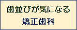 矯正歯科・歯並び